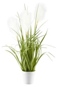 DEKORAČNÍ TRÁVA, 53 cm Ambia Home - Dekorační tráva