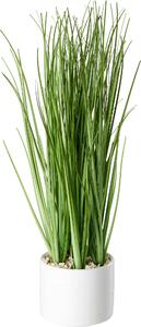 DEKORAČNÍ TRÁVA, 30 cm Ambia Home - Dekorační tráva