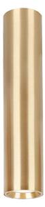Bodové svítidlo GENESIS 1xGU10/8W/230V 20 cm zlatá