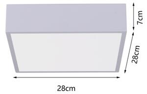 Immax NEO 07238L - LED Stmívatelné stropní svítidlo CANTO 22W/230V bílá Tuya +DO