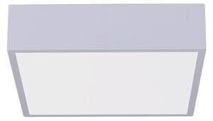 Immax NEO 07238L - LED Stmívatelné stropní svítidlo CANTO 22W/230V bílá Tuya +DO