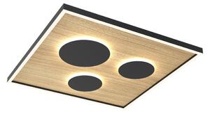 Wofi 9012-306L - LED Stmívatelné stropní svítidlo DIJON LED/40W/230V