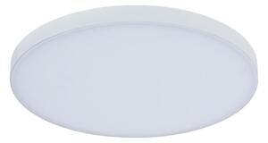Paulmann 79890 - LED/13W Stropní svítidlo VELORA 230V