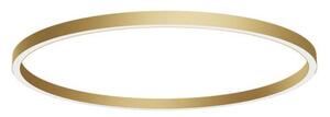 Arelux AM04WW SGD Xambit, zlaté stropní/závěsné kruhové svítidlo, 97W LED 3000K, prům. 154cm