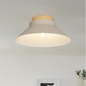 Eglo 900736 - Stropní svítidlo MOHARRAS 1xE27/40W/230V
