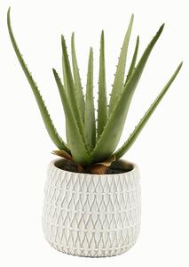 UMĚLÁ ROSTLINA 35 cm - Umělé rostliny, Online Only