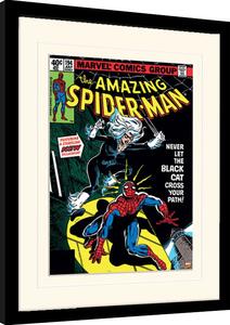 Obraz na zeď - Spiderman - Black Cat