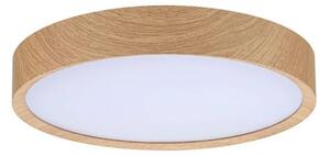 Paulmann - Tega LED Stropní Lampa IP44 Bílá/Dřevo