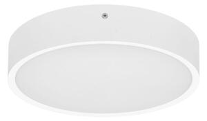 Ecolite WMAT300-15W/BI - LED Stropní svítidlo MARTIN LED/15W/230V IP65 bílá