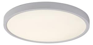 Rabalux 71073 - LED Stropní svítidlo PAULOS LED/24W/230V 4000K pr. 30 cm bílá