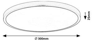 Rabalux 71073 - LED Stropní svítidlo PAULOS LED/24W/230V 4000K pr. 30 cm bílá