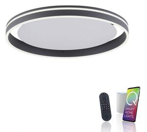PAULNEUHAUS Q-VITO, LED stropní svítidlo, Smart Home, průměr 59cm ZigBee 2700-5000K - PAUL NEUHAUS