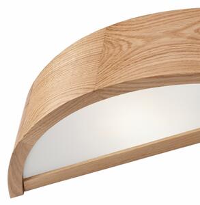 Brilagi - LED Nástěnné svítidlo CARVALHO 1xE27/60W/230V dub