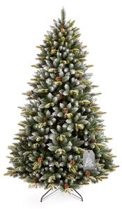 Vánoční stromeček Smrk Pyrenejský 180 cm