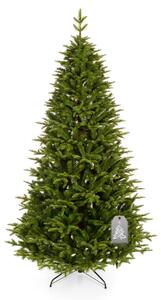 Vánoční stromeček Jedle Kavkazská 180 cm