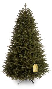 Vánoční stromeček Smrk Kanadský 100 % 180 cm
