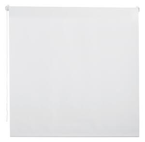 ROLETA, poloprůhledné, 100/160 cm Boxxx - Rolety a žaluzie