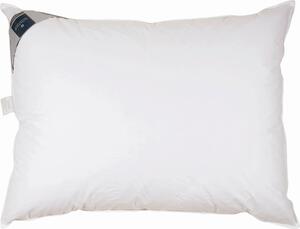 TŘÍKOMOROVÝ POLŠTÁŘ, 40/80 cm Billerbeck - Polštáře pod hlavu