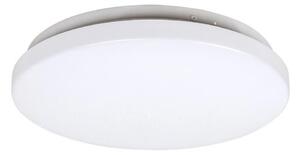 Rabalux 3338 - LED Stropní svítidlo ROB LED/20W/230V
