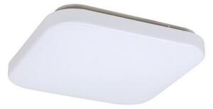 Rabalux 3340 - LED Stropní svítidlo ROB LED/20W/230V