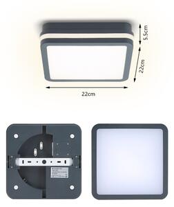 Brilagi - LED Venkovní svítidlo se senzorem BENE LED/18W/230V 22x22 cm IP54