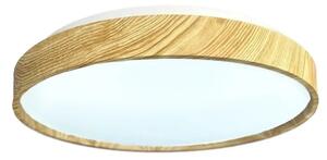 LED Stmívatelné stropní svítidlo OPAL LED/48W/230V 3000-6500K + dálkové ovládání