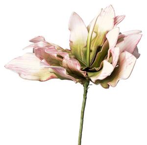 PROTEA protea 38 cm - Umělé květiny