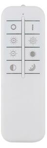 Eglo 99779 - LED Stmívatelné stropní svítidlo SELUCI LED/40W/230V 3000-6500K+ DO