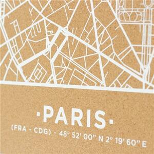 Nástěnná korková mapa Paříž L