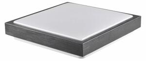 Stropní svítidlo KAZIMIERZ 2xE27/20W/230V 29,5x29,5 cm černá