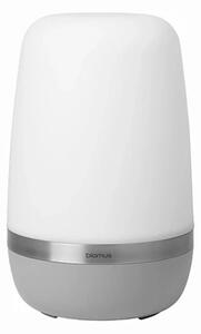 Blomus - Spirit Přenosné Venkovní svítidla XL Platinum Gray