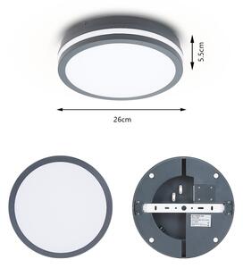 Brilagi - LED Venkovní svítidlo BENE LED/24W/230V pr. 26 cm IP54