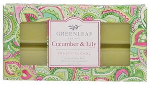 Greenleaf Vonný vosk Cucumber & Lily 73g