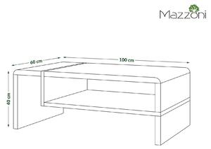 Konferenční stolek FOLK 100x60 cm bílá/černá