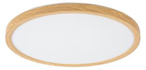 Rabalux 75085 - LED Koup. str. svítidlo LAUTREC 24W/230V pr. 40 cm IP44 béžová
