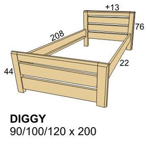 ROALHOLZ Dřevěná moderní postel DIGGY 90x200 smrk