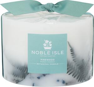 Noble Isle, Velká luxusní svíčka se třemi knoty Pinewood Botanical Candle