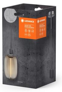 Ledvance - Lustr na lanku PENDULUM NEEDLE 1xE27/15W/230V