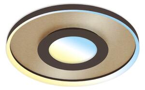 Briloner 3640017 - LED Stmívatelné stropní svítidlo LED/25W/230V 2700-6500K + DO