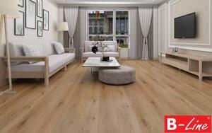 Hanflor Rigid Plus SPC Click EIR HIF 22853-8 2,196 m2
