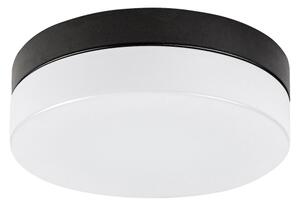 Rabalux 75025-LED Koupelnové stropní svítidlo GAELO LED/15W/230V pr. 23 cm černá