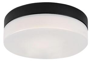 Rabalux 75026-LED Koupelnové stropní svítidlo GAELO LED/18W/230V pr. 28 cm černá