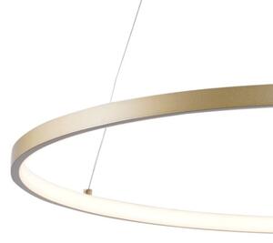 Zuma Line 2023201-GD60 - LED Lustr na lanku BRENO LED/28W/230V 3000/4000/6000K