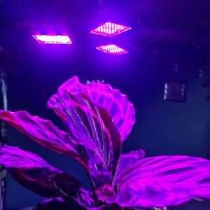Gardlov 20440 Osvětlení pro pěstování rostlin GROW LIGHT E27, 108 LED, 8 W