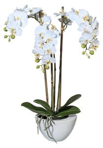 Umělá Orchidej bílá v květináči, 51cm