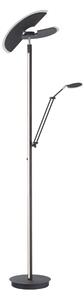 LED STOJACÍ LAMPA, 87/44/202 cm - Stojací lampy