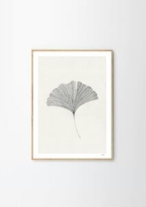 The Poster Club Plakát Ginkgo Leaf by Ana Frois 50x70 cm