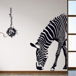 Samolepka na zeď "Zebra" 100x95 cm