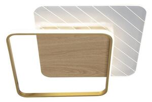 LED Stmívatelné stropní svítidlo LED/60W/230V 3000-6500K + dálkové ovládání