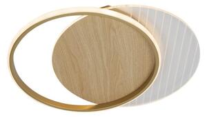 LED Stmívatelné stropní svítidlo LED/60W/230V 3000-6500K + dálkové ovládání